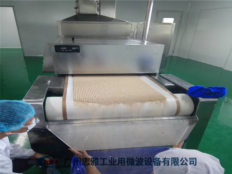 湯料微波殺蟲設(shè)備
