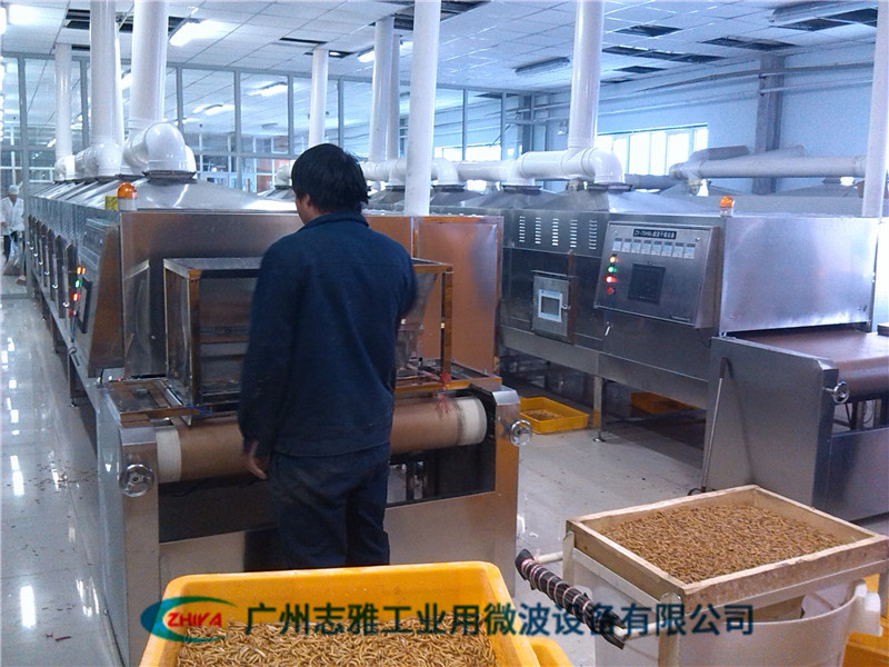大麥蟲微波干燥設(shè)備