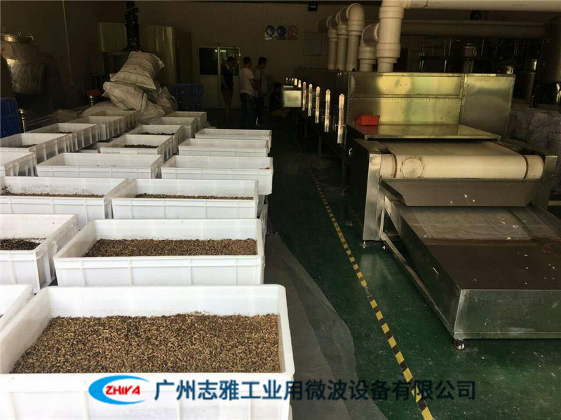 黑水虻微波烘干設(shè)備